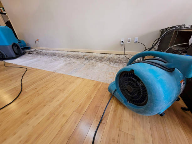 Professional Water Damage Repair technician working in Canton, OH